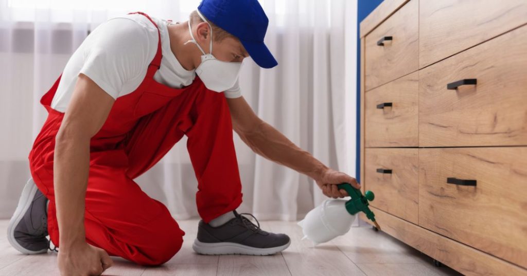 Como Eliminar Mosquitos em Ponta Grossa: 5 Técnicas capa dedetizacao em Ponta Grossa